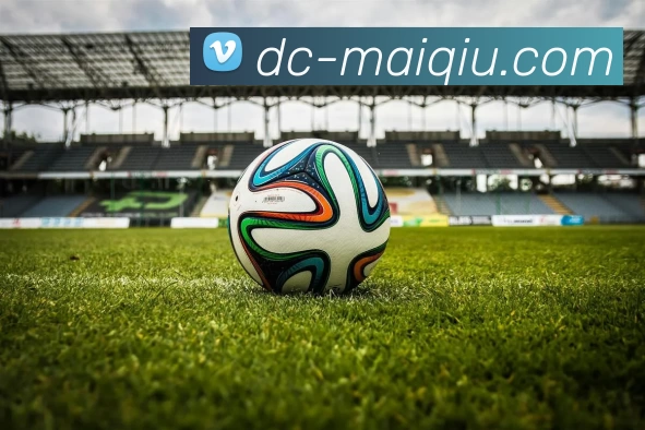 足球买球APP下载发展历程